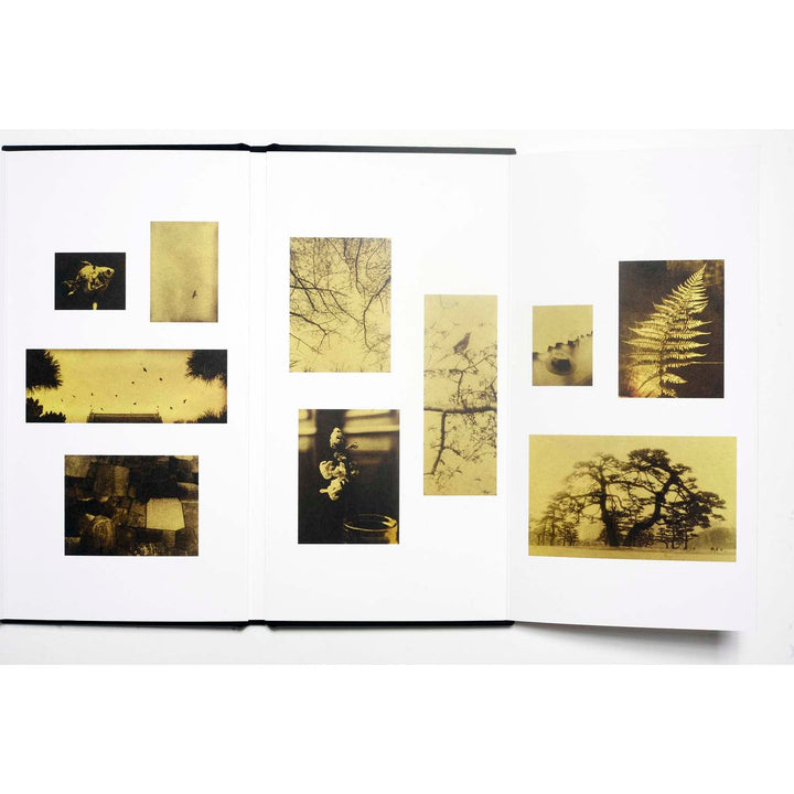 Glanage by Naohiro Ninomiya - Tipi bookshop