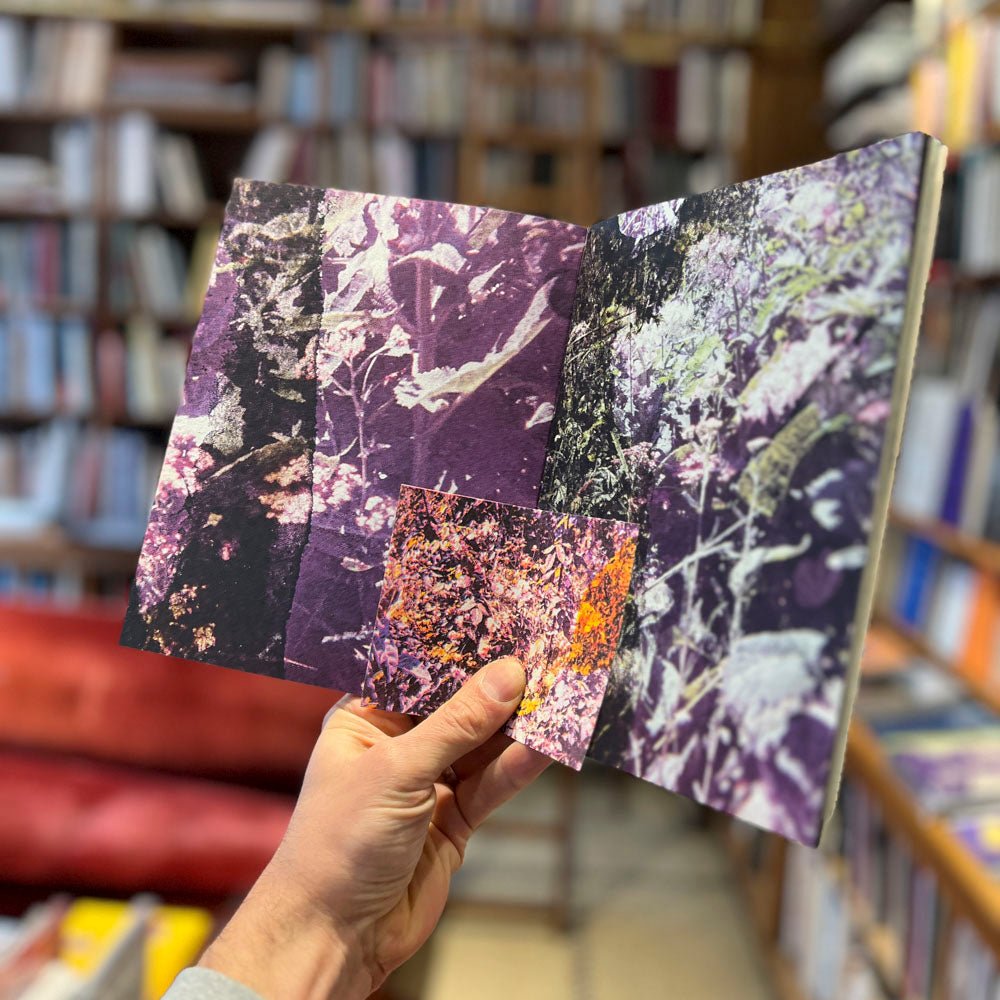 Le bruissement entre les murs par Clara Chichin et Sabatina Leccia - Tipi bookshop