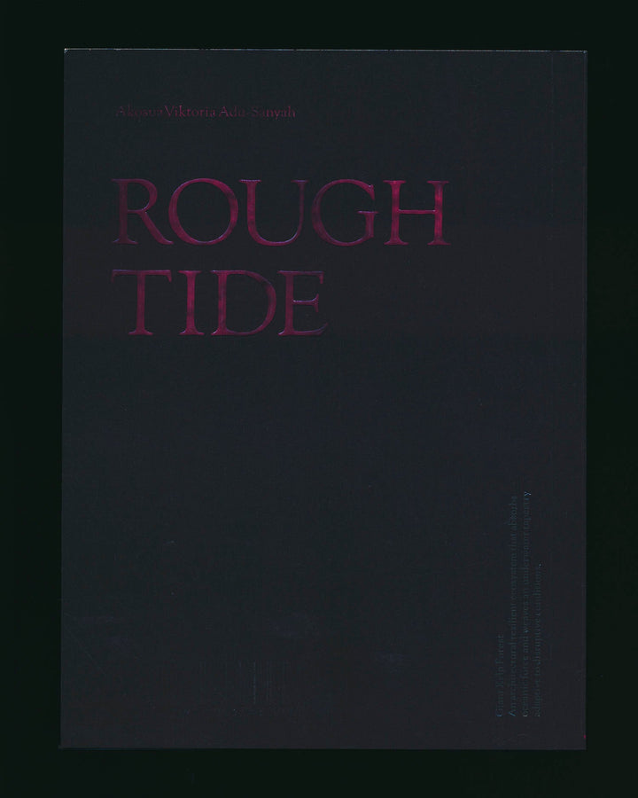 Rough Tide by Akosua Viktoria Adu - Sanyah - Tipi bookshop