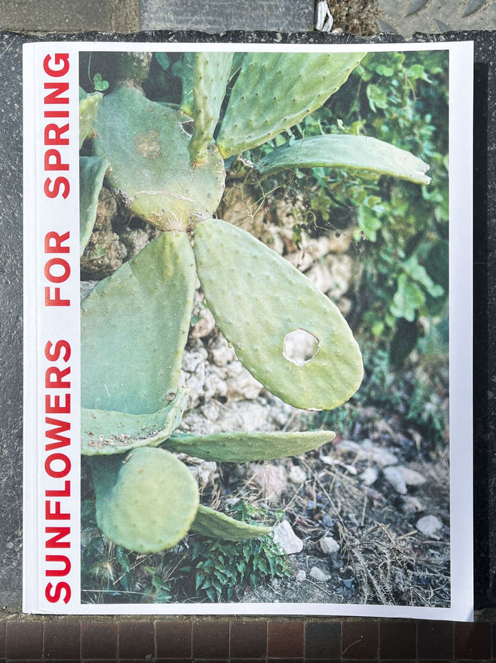 Sunflowers for spring by Liza François - Tipi bookshop