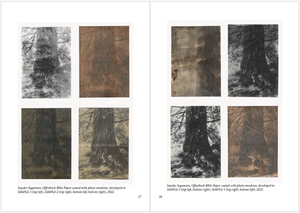 The Sustainable Darkroom, Back To Basics: A Guide to Ecological Photo Chemistry - Tipi bookshop