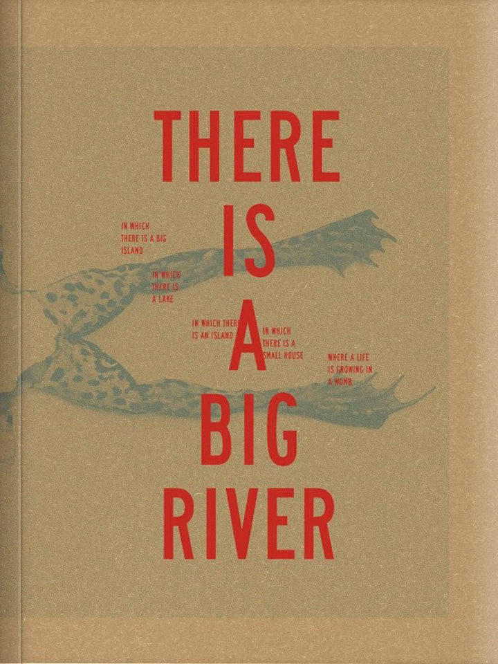 There is a big river by András Ladocsi - Tipi bookshop