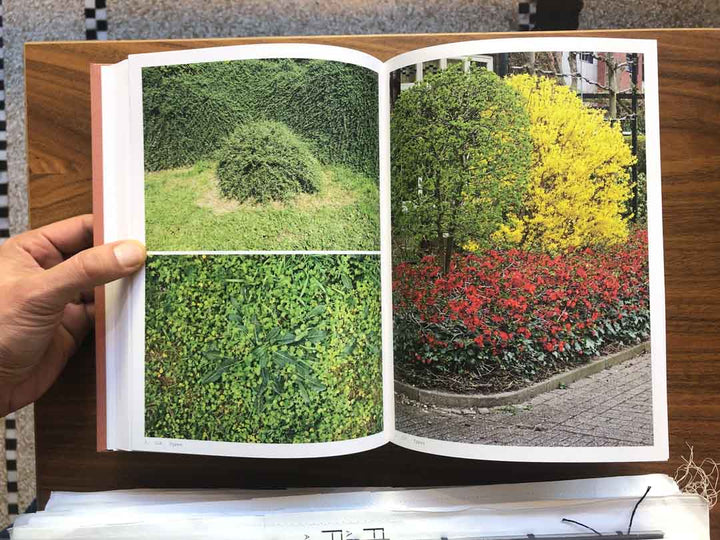 Book of plants by Anne Geene - Tipi bookshop