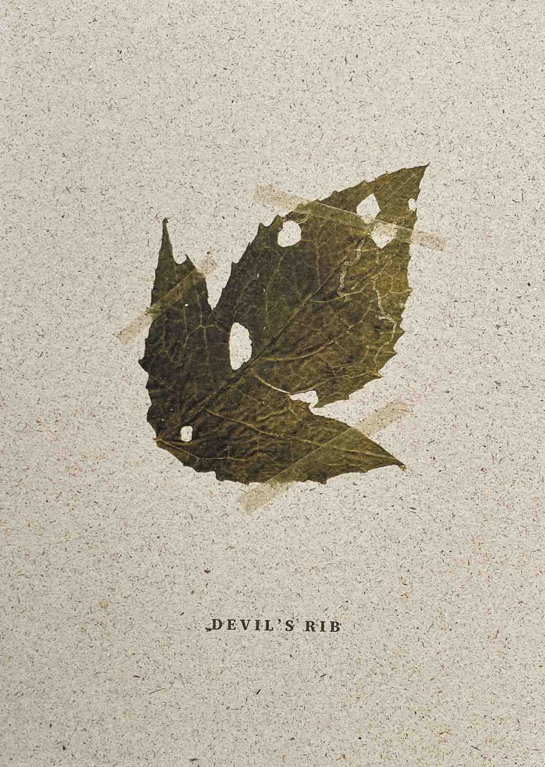 Devil's rib by Mateusz Kowalik - Tipi bookshop