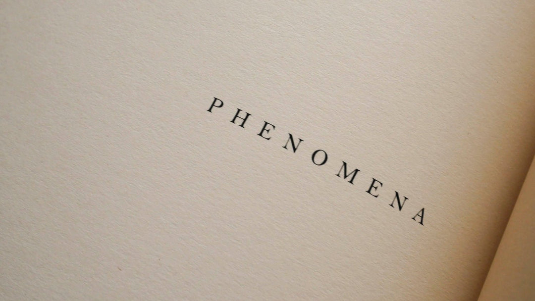 Phenomena by Morganna Magee - Tipi bookshop