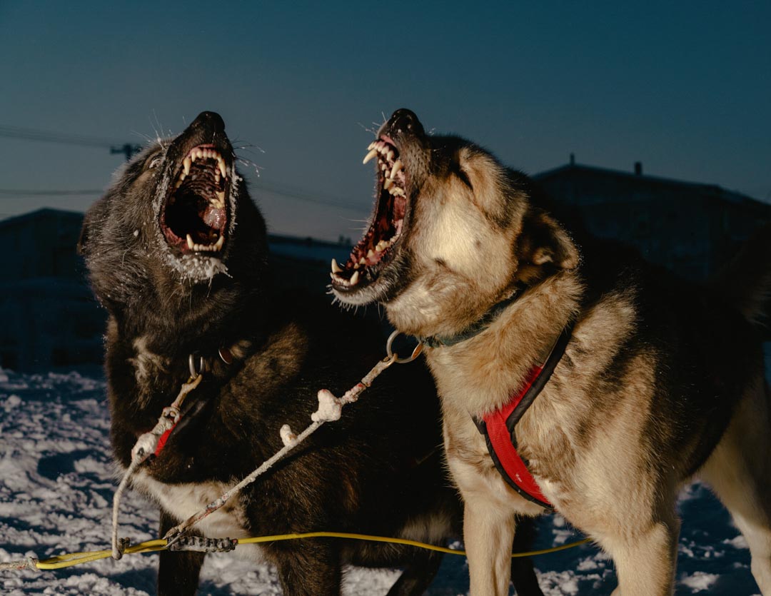 Polar Night by Mark Mahaney - Tipi bookshop