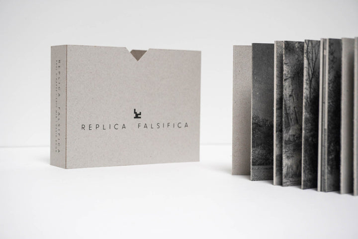 Replica Falsifica by Paul P D'Haese - Tipi bookshop