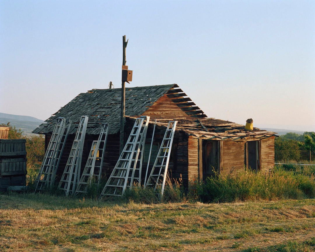 The North Fork By Trent Davis Bailey - Tipi bookshop