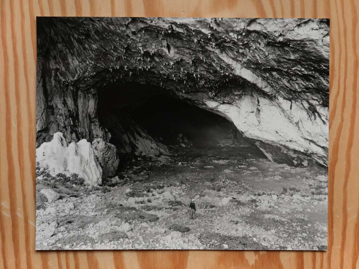 The Tortoise Arrived Alone One Day by Danny Veys - Silver gelatin prints - Tipi bookshop