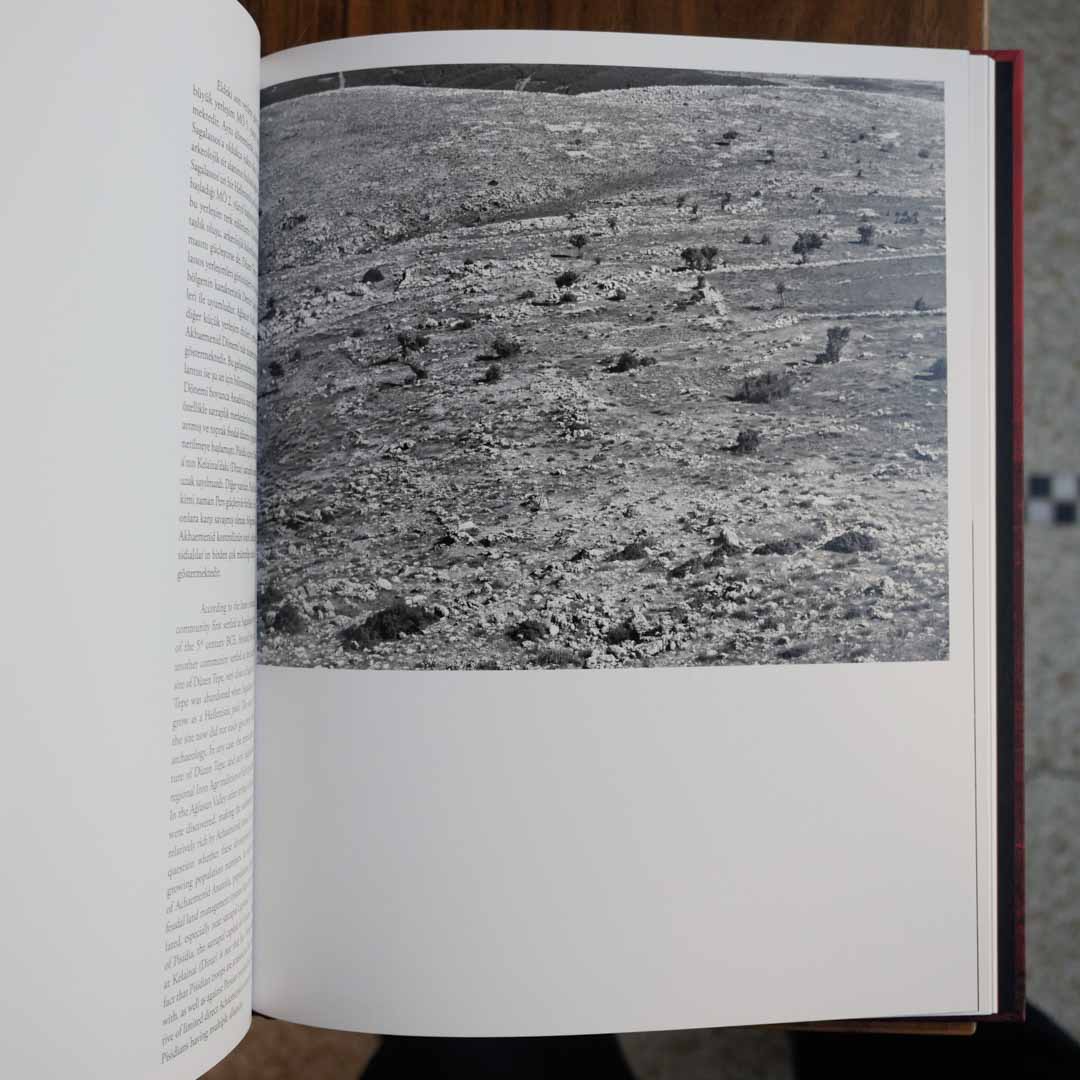 The Tortoise Arrived Alone One Day by Danny Veys - Silver gelatin prints - Tipi bookshop