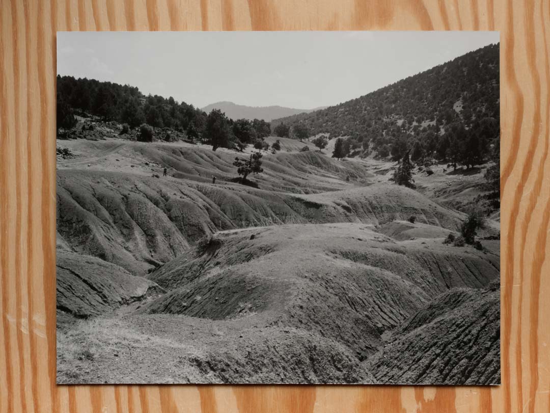 The Tortoise Arrived Alone One Day by Danny Veys - Silver gelatin prints - Tipi bookshop