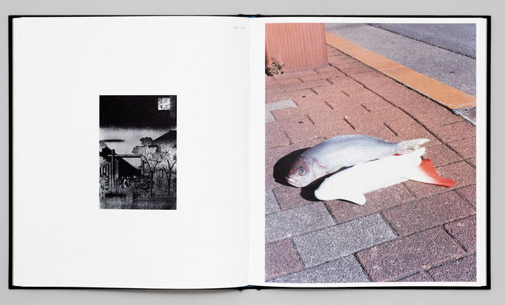 Tokyo fishgraphs by Naohiro Harada - Tipi bookshop